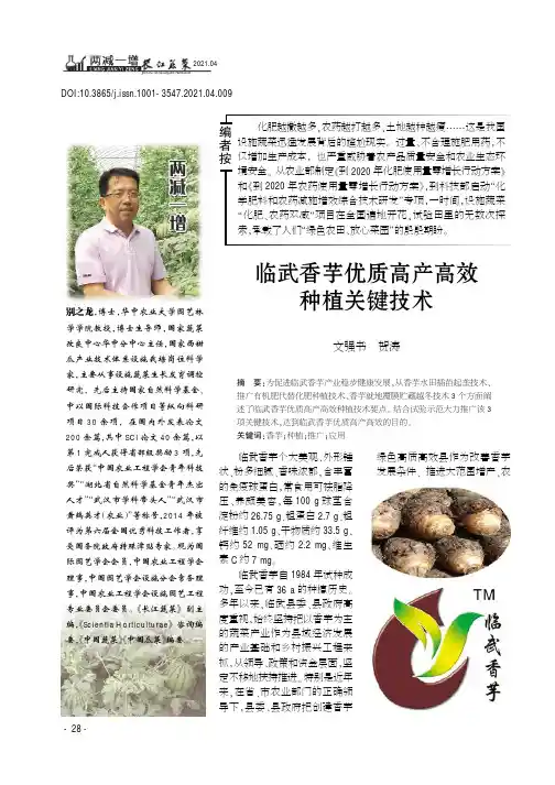 临武香芋优质高产高效种植关键技术