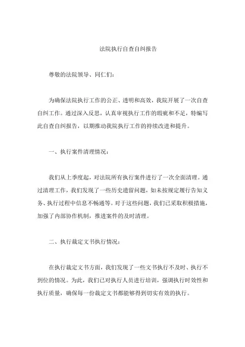 法院 执行自查自纠 报告