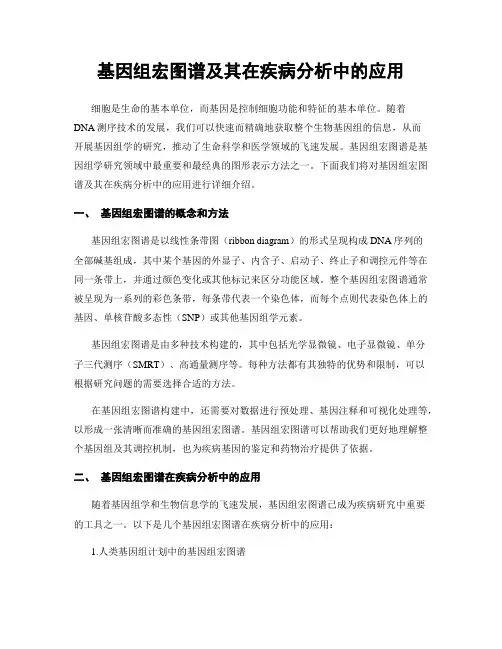 基因组宏图谱及其在疾病分析中的应用