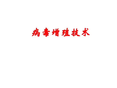 病毒培养技术