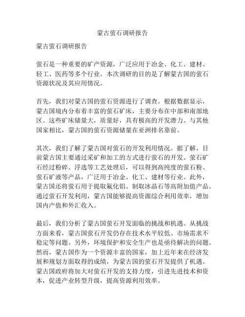 蒙古萤石调研报告
