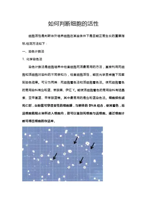 备课素材：如何判断细胞的活性  高中生物人教版必修1 