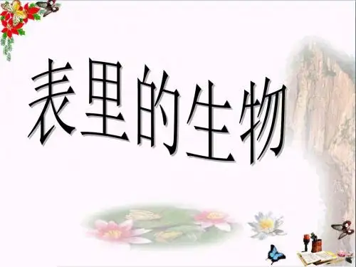 六年级语文上册 第22课 表里的生物精选优质PPT课件 语文S版