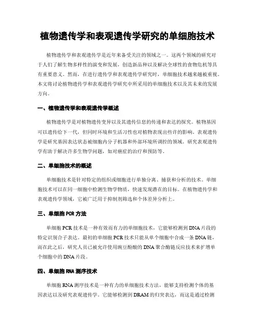 植物遗传学和表观遗传学研究的单细胞技术