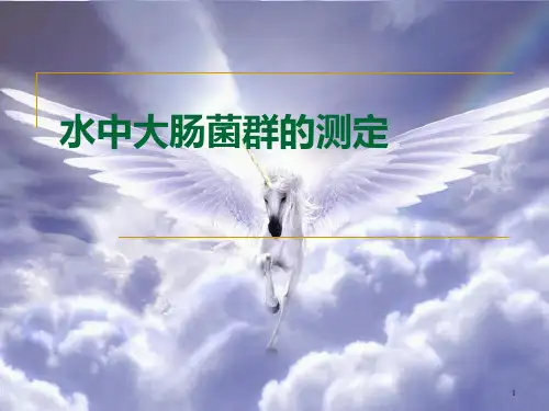 水中大肠菌群的含量测定PPT课件