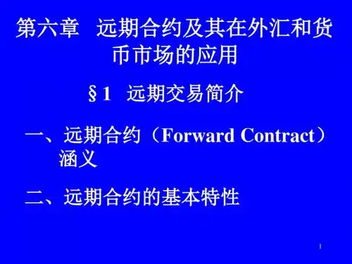 第六章远期合约及其在外汇和货币市场的应用-PPT文档资料