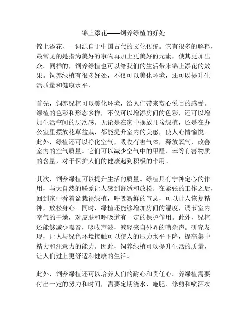 锦上添花——饲养绿植的好处