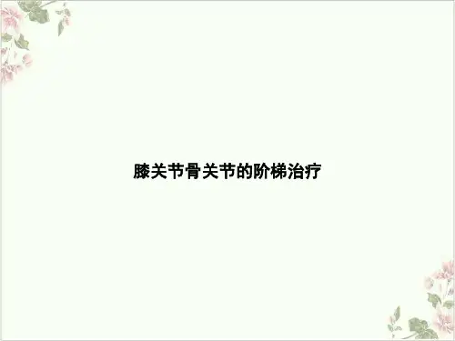 膝关节骨关节的阶梯治疗PPT.