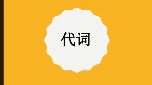 中考英语代词语法专项课件