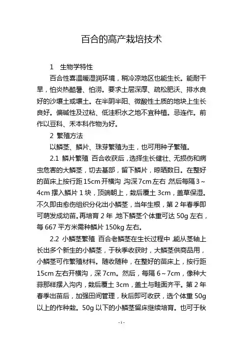 百合的高产栽培技术