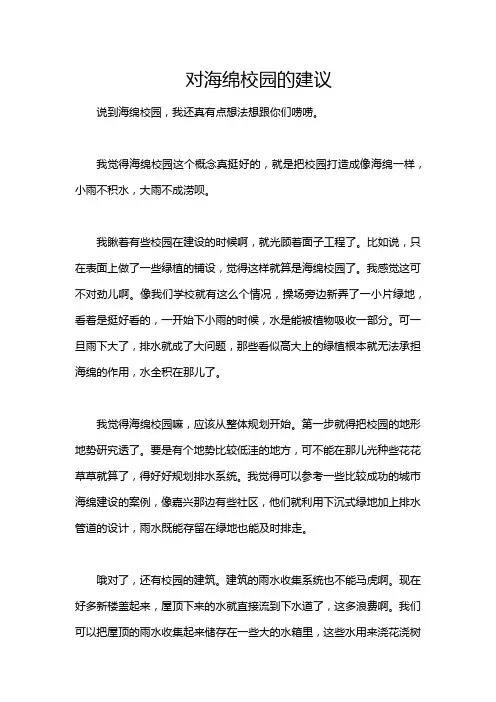 对海绵校园的建议