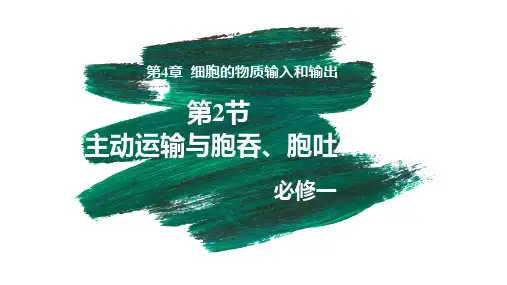 4.2 主动运输与胞吞、胞吐课件(共54张PPT)-(2024)高一生物(人教版2019必修1)