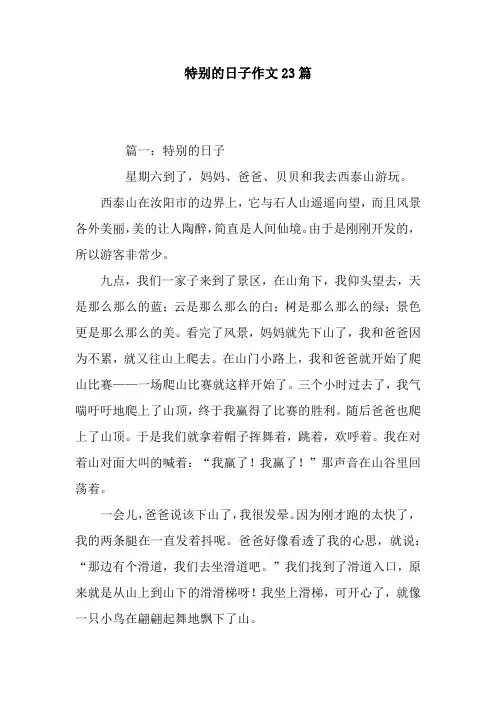 特别的日子作文23篇