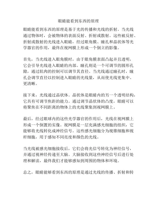 眼睛能看到东西的原理