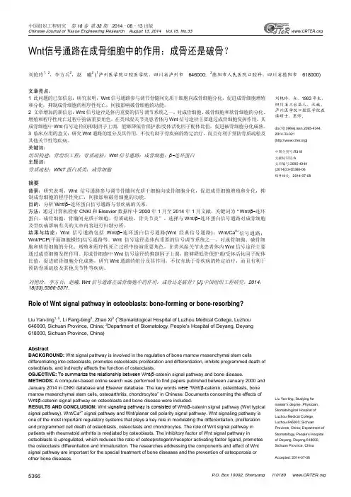 Wnt信号通路在成骨细胞中的作用：成骨还是破骨？
