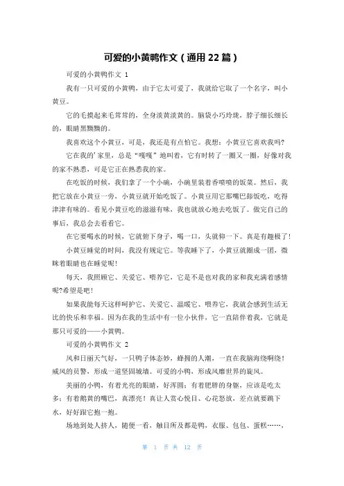 可爱的小黄鸭作文(通用22篇)
