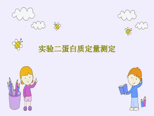 实验二蛋白质定量测定22页PPT
