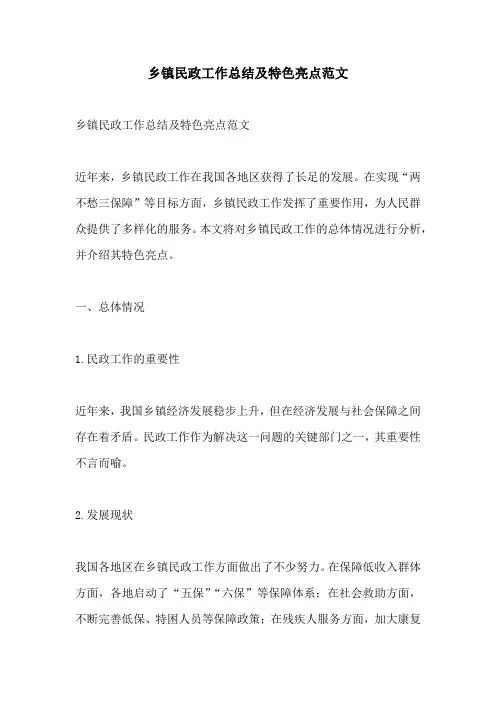 乡镇民政工作总结及特色亮点范文