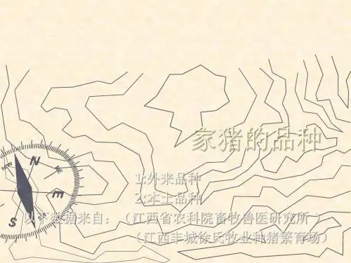 家猪的品种-文档资料