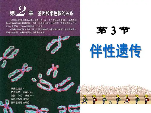 2021届高三一轮复习基础知识详讲课件：4 伴性遗传+人类遗传病生物精品公开课课件