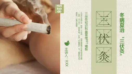 夏季养生三伏灸知识科普艾灸培训PPT模板