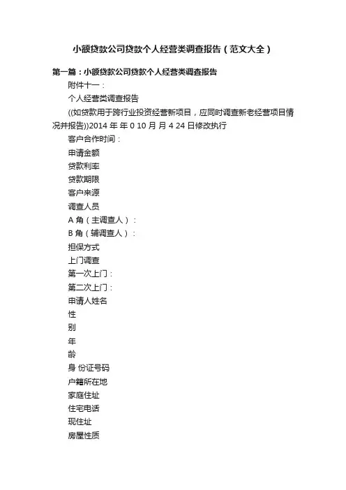 小额贷款公司贷款个人经营类调查报告（范文大全）