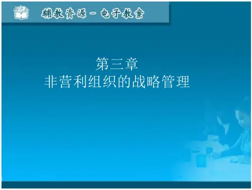 第三章非营利组织的战略管理 非营利组织管理学课件