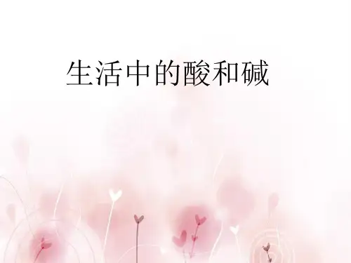 初中化学《生活中的酸和碱》 PPT课件 图文