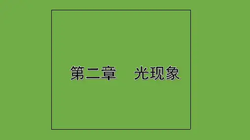 2020年湖南中考物理考点复习第二章  光现象