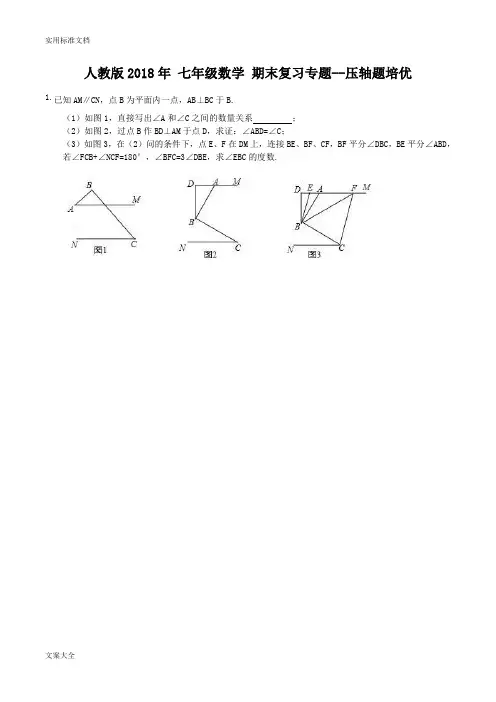 2018年人教版七年级数学下《压轴题培优》期末复习专题含问题详解