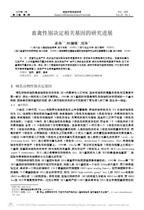 畜禽性别决定相关基因的研究进展