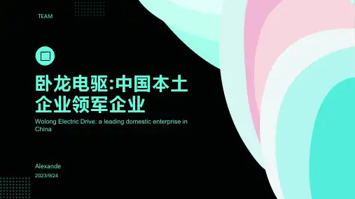 2023年工业电机行业现状及竞争分析 产销总体保持增长 卧龙电驱为本土龙头报告模板