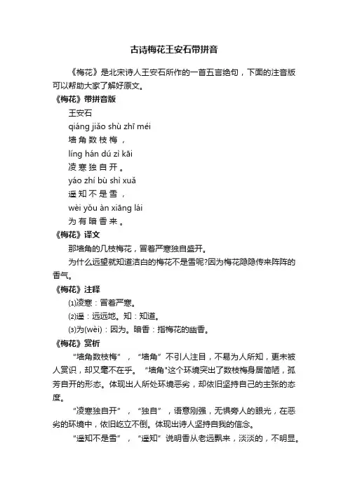 古诗梅花王安石带拼音
