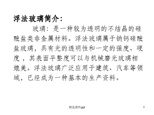 《浮法玻璃技术》PPT课件