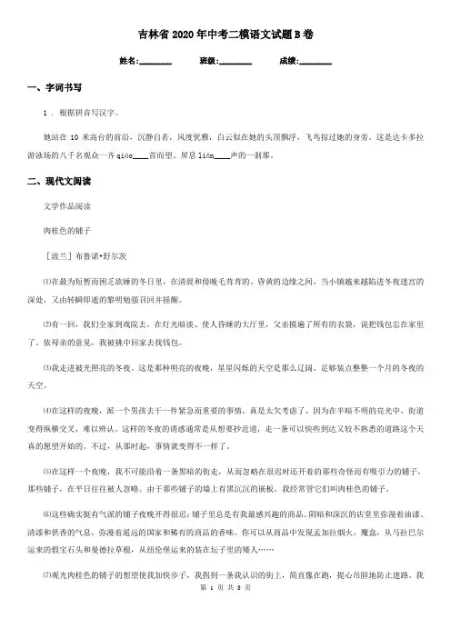 吉林省2020年中考二模语文试题B卷