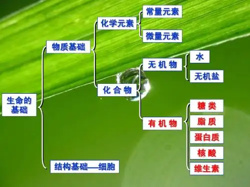 1生物体中的化合物