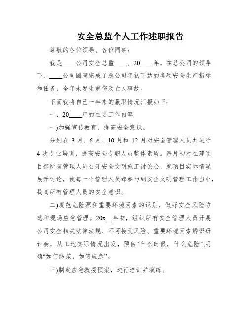 安全总监个人工作述职报告