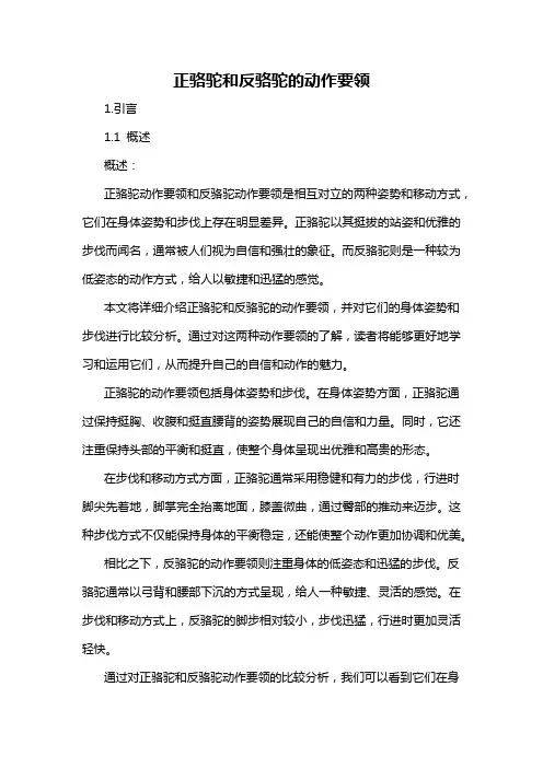 正骆驼和反骆驼的动作要领