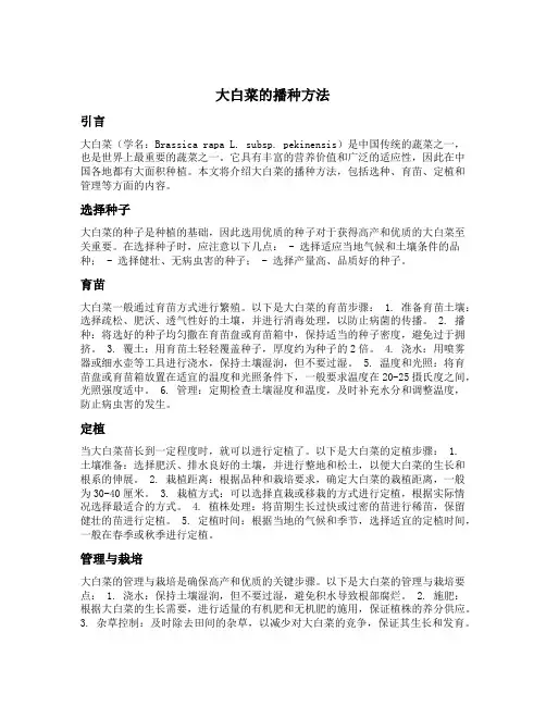 大白菜的播种方法