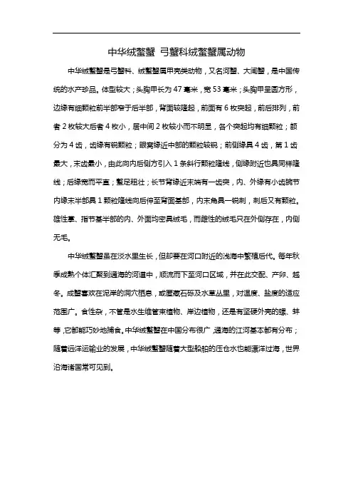 中华绒螯蟹 弓蟹科绒螯蟹属动物