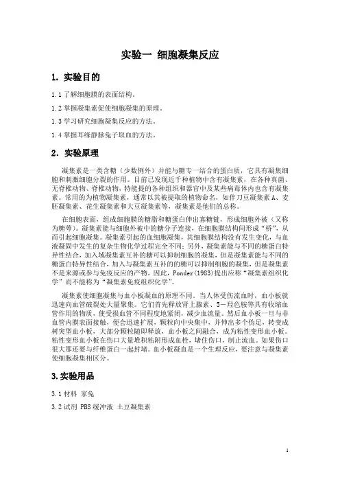 实验一 细胞凝集反应