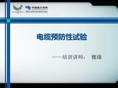 电缆预防性试验