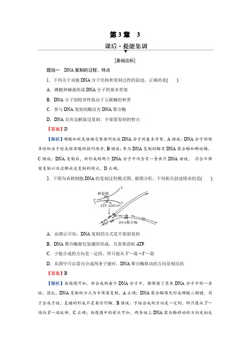 人教版高中生物必修2第3章3DNA的复制练习含答案