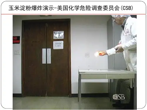4粉尘爆炸案例、