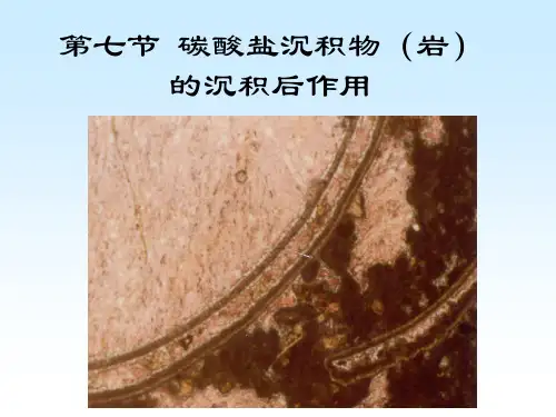 沉积学与沉积相课件碳酸盐岩沉积后作用
