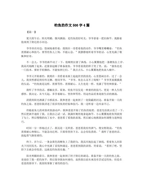 钓鱼的作文500字4篇