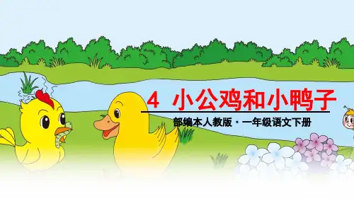 统编版一年级语文下册4公鸡和小鸭子课件(共13张PPT)