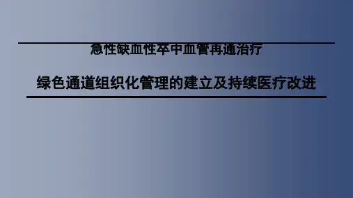 急性缺血性卒中院内绿色通道建设及持续医疗改进