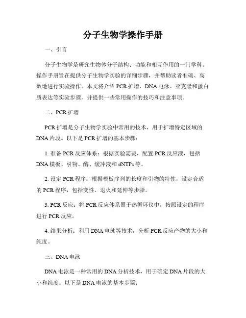 分子生物学操作手册