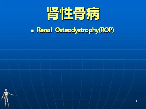 肾性骨病_精品文档